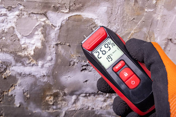 Best Office Mold Removal Services  in South Greensburg, PA